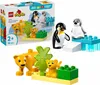 10442 - LEGO DUPLO - Familles d'animaux sauvages : Voir les images du produit 27