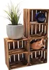 Obstkiste 40 x 30 x 25 cm  3er SET Geflammt Produktbild-Vorschau 7