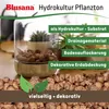 Blusana Blähton 50 Liter grobe Körnung 8-16mm Produktbild-Vorschau 5