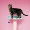 Europet Bernina Kratzbaum Berry Breeze blau, Maße: 50 x 50 Produktbild-Vorschau 3