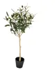 Clayre & Eef Olivier artificiel 70 cm Vert Plastique Voir les images du produit 2