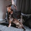 Hunter Hundespielzeug Marle 35 cm, Motive:Hase Produktbild-Vorschau 4