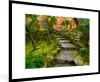 MuchoWow® Gerahmtes Poster Natur - Steine - Kröte - Moos - Produktbild-Vorschau 1