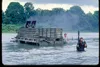 Missing in Action Produktbild-Vorschau 4