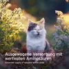 AniForte Taurin für Katzen 100g – Zur Gesunderhaltung der Produktbild-Vorschau 6