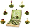 Creano Teeblumen Geschenkset in Holz Teekiste 12 Erblühtee Produktbild-Vorschau 5