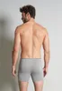 GÖTZBURG Herren Boxershorts, 2er Pack - Cyclists, Produktbild-Vorschau 5
