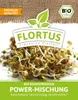 Artikelbild 6 von 'BIO Keimsprossen Power-Mischung (Linsen, Senf und Bockshornklee)' Produktbild-Vorschau