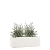 PFLANZWERK® Pflanzkübel TUB 50cm SAND Fensterbank Premium Produktbild-Vorschau 1