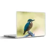 MuchoWow® Laptop Aufkleber Sticker Cover Eisvogel - Zweig - Produktbild-Vorschau 1