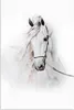 MuchoWow® Poster Pferd - Aquarell - Tiere - Weiß 20x30 cm - Produktbild-Vorschau 1