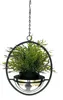 A hanging planter with a green plant inside, suspended by a chain. Anteprima dell’immagine prodotto