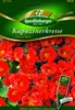 Kapuzinerkresse, Cherry Rose Produktbild-Vorschau 1
