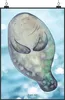 Mr. & Mrs. Panda Bild Seekuh Happy DIN A0 - Oceanblue - Produktbild-Vorschau 1