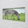 Glasbilder 140x70 Wandkunst Zebra Produktbild-Vorschau 2