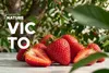 KONSIMO VICTO Nowoczesny kombinowany serwis obiadowy 6 osób Podgląd zdjęcia produktu 28