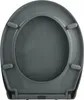 A top-down view of a gray toilet seat. Anteprima dell’immagine prodotto