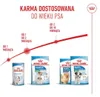 Royal Canin SHN Mini Starter M&B 4kg Produktbild-Vorschau 12