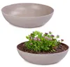Pflanzschalen für draussen Dekoschalen rund sand beige 2x Produktbild-Vorschau 1