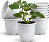 A stack of white plastic plant pots with a monstera plant in the foreground pot. Produktbild-Vorschau