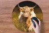 MuchoWow® Mauspad Mousepad Schottische Highlander - Licht - Produktbild-Vorschau 3