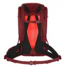 SALEWA zaino, escursioni zaino Alp Trainer 20 WS Syrah Anteprima dell’immagine prodotto 2