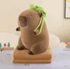 kapibara 2 en 1 avec sac à dos en forme de tortue - peluche Voir les images du produit 2