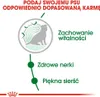 Royal Canin Size Mini Ageing +12 - 3,5 kg Podgląd zdjęcia produktu 6