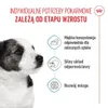 Royal Canin Mini Puppy, Welpe, 85 g Produktbild-Vorschau 7