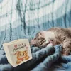 Katze Spardose aus Holz mit Spruch Für Herzenswünsche Produktbild-Vorschau 6