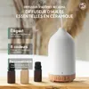Recalma Diffuseur d’arômes céramique 2-en-1 humidificateur Voir les images du produit 5