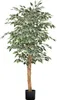 A full shot of a faux ficus tree in a black pot, isolated on a white background. Voir les images du produit