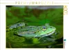 CALVENDO Puzzle Spiegelung. | 1000 Teile Lege-Größe 64x48cm Produktbild-Vorschau 2