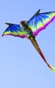 Kinderdrachen X-Kites 3D Dragon 2190030 Grün 195 x 86 cm Produktbild-Vorschau 7