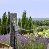 Programmateur d'arrosage Master GARDENA Voir les images du produit 27