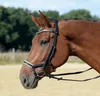 BUSSE Trense Emotion Reithalfter Trensenzaum mit Zügel Produktbild-Vorschau 9