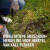 Compo Rasensamen 2kg bis 100m² - Reparaturrasen beschichtet Produktbild-Vorschau 5