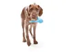 West Paw Tizzy Mini - 11cm - Lime Produktbild-Vorschau 2