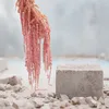 Stabilisiertes Amaranth - Amaranth - Rosa Produktbild-Vorschau 4