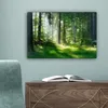 MuchoWow® - Leinwandbilder - Natur - Bäume - Wald - Grün - Produktbild-Vorschau 4