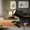 A black clip-on desk lamp with a gold interior is attached to a wooden desk. The background shows a blurred office or living room setting with framed pictures on the wall. Náhled obrázku produktu