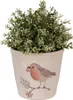 A potted plant with a decorative bird illustration on the pot. Produktbild-Vorschau