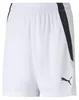 Broeken Puma 70493104 Productafbeelding-voorbeeld 1