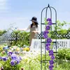 Relaxdays Supporto per rampicanti Obelisco, altezza 188 cm, Anteprima dell’immagine prodotto 5