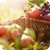 Nawóz ogrodniczy granulat uniwersalny Azofoska 5kg Podgląd zdjęcia produktu 7