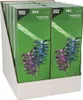 Papstar Deko Picker Partypicker Palmwedel 12cm 144 Stück Produktbild-Vorschau 5