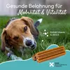 PHA MultiVitalStick für Hunde 7 St Produktbild-Vorschau 3