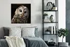 MuchoWow® Poster Waldkauz auf schwarzem Hintergrund 75x75 Produktbild-Vorschau 4
