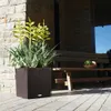Lechuza Samozavlažovací květináč Cube Cottage 40 cm, hnědá Náhled obrázku produktu 21