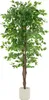 ML-Design sztuczna roślina Ficus 180cm sztuczne rośliny Podgląd zdjęcia produktu 1